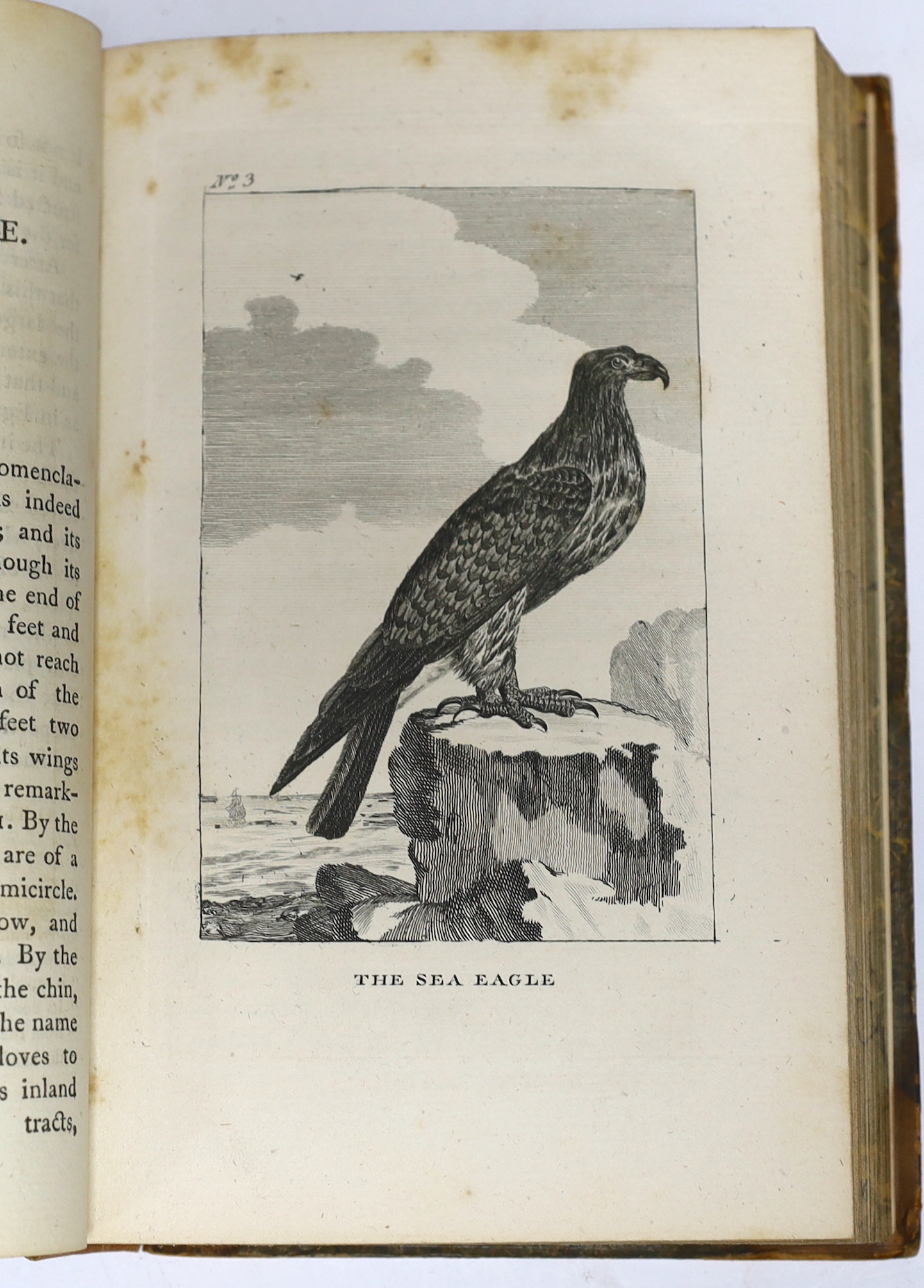Buffon, George-Louis Leclerc, Comte de - The Natural History of Birds from the French of the Count de Buffon: illustrated with engravings; and a preface, notes, and additions by the translator [William Smellie], 6 vols.